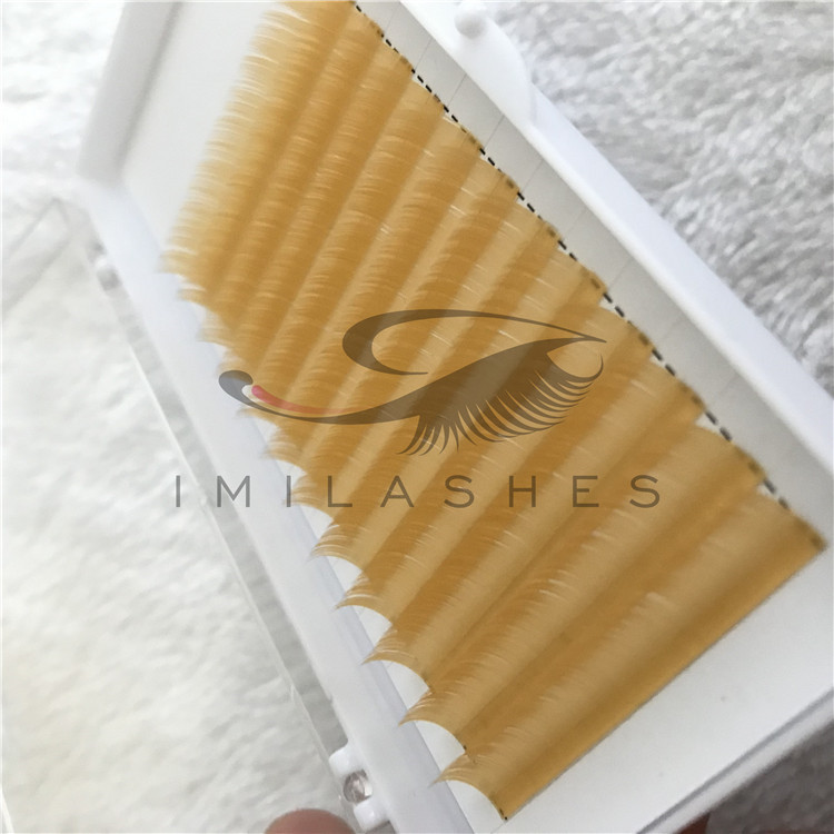 eyelash extensions price.jpg